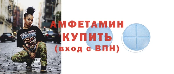 прущие грибы Балахна