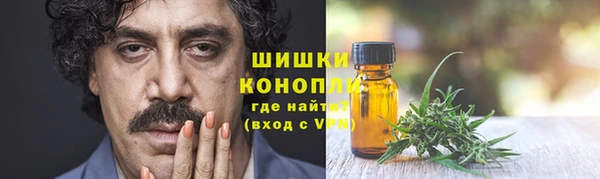 прущие грибы Балахна