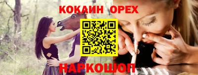 гидра Камышлов