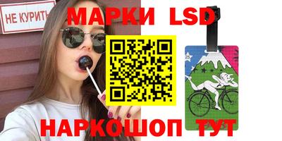 гидра Камышлов