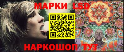 гидра Камышлов