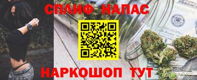 гидра Камышлов