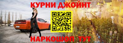 гидра Камышлов