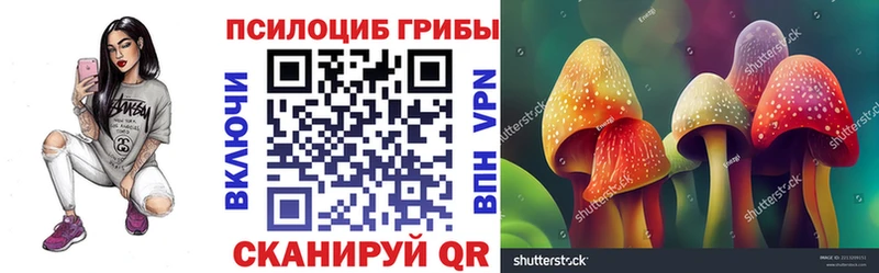 цена   Чернушка  Псилоцибиновые грибы прущие грибы 