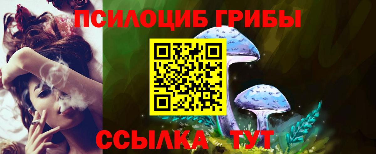 купить наркотики цена  Псилоцибиновые грибы Magic Shrooms  Псилоцибиновые грибы Psilocybine cubensis  Вход с VPN  Чернушка 